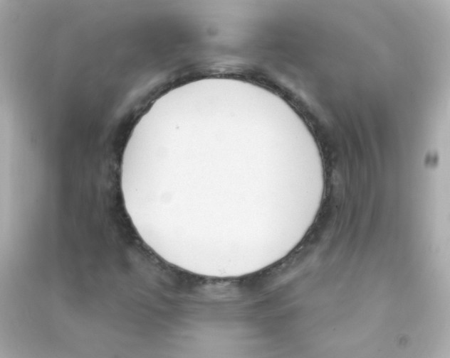 X0000090501447200708102230