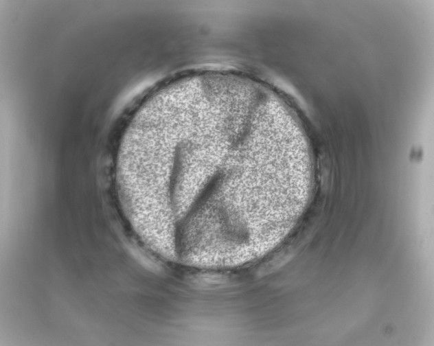 X0000090501448200708102230