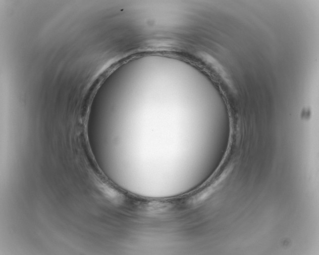 X0000090501449200708102230