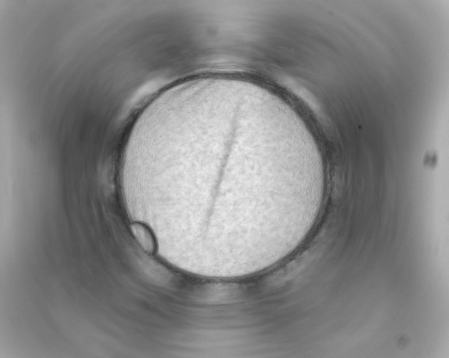 X0000090501451200708102230