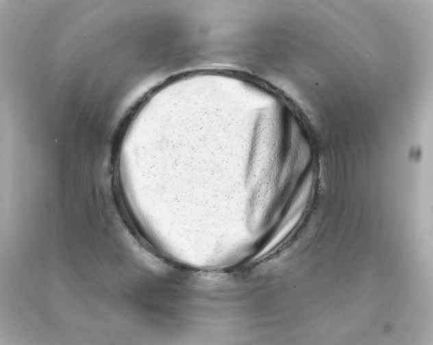 X0000090501452200708102230