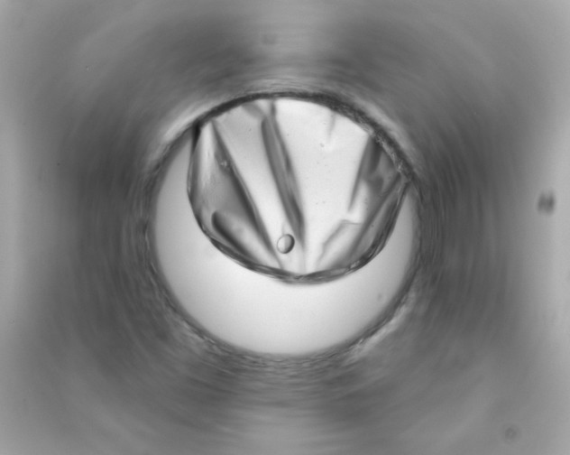 X0000090501453200708102230