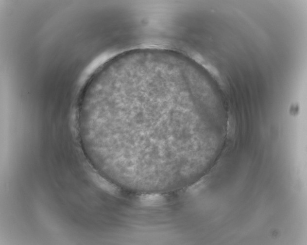 X0000090501454200708102230