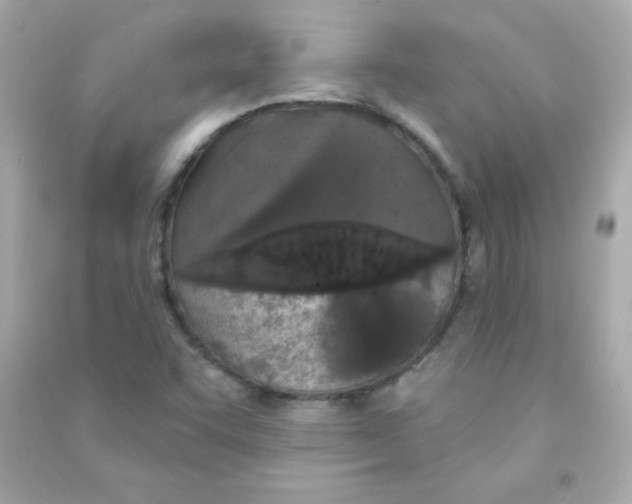 X0000090501455200708102230