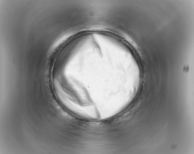 X0000090501456200708102230