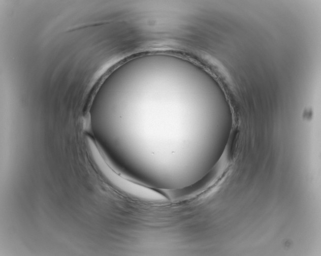 X0000090501457200708102230