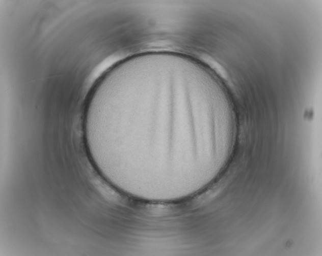 X0000090501458200708102230