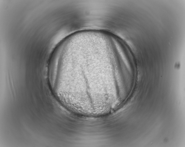 X0000090501459200708102230