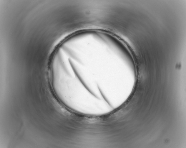 X0000090501460200708102230