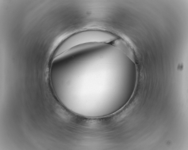 X0000090501461200708102230