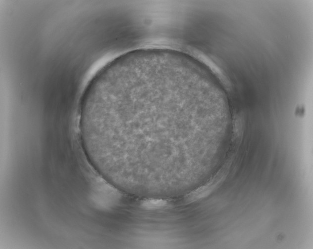 X0000090501462200708102230