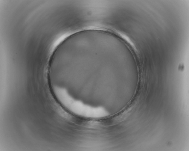 X0000090501463200708102230