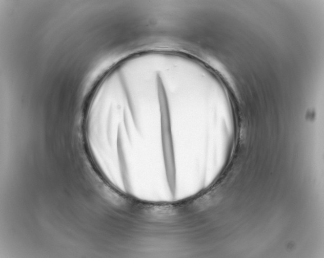 X0000090501464200708102230