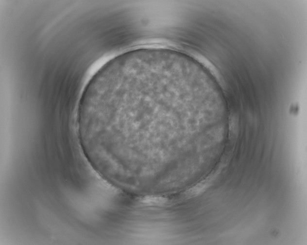 X0000090501466200708102230