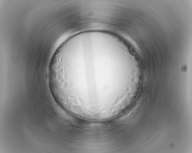 X0000090501467200708102230