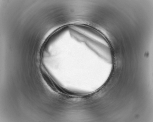 X0000090501468200708102230