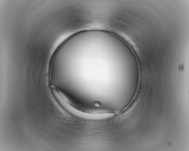 X0000090501469200708102230