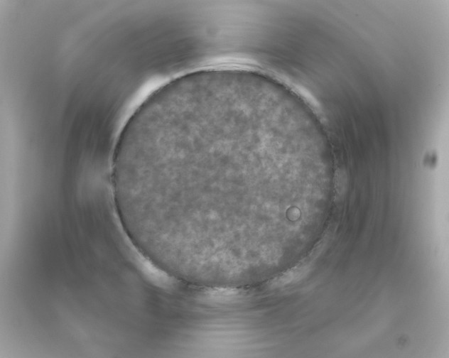 X0000090501470200708102230