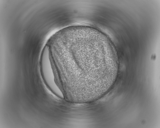 X0000090501471200708102230