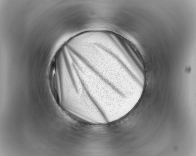 X0000090501472200708102230