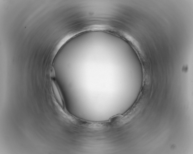 X0000090501473200708102230