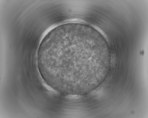 X0000090501474200708102230