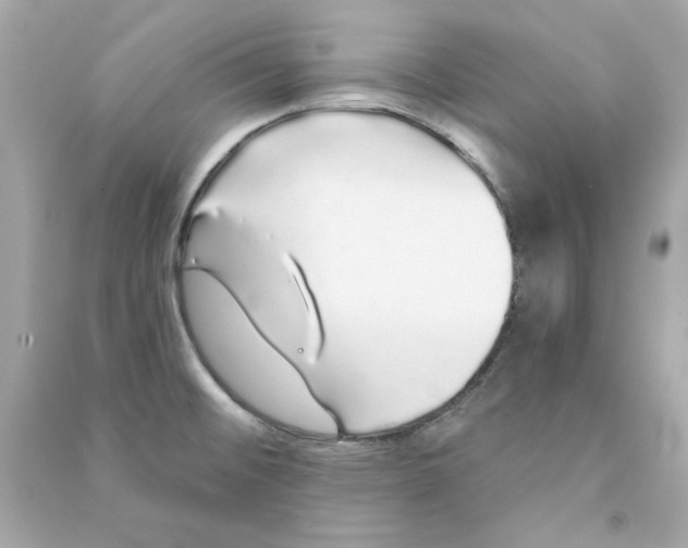 X0000090501476200708102230