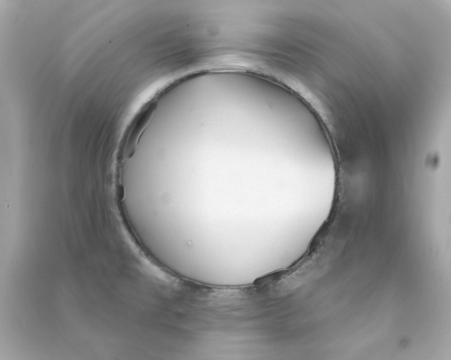 X0000090501477200708102230