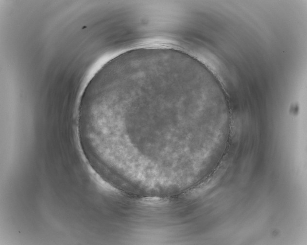 X0000090501478200708102230