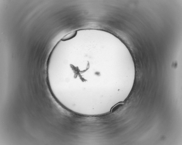 X0000090501479200708102230