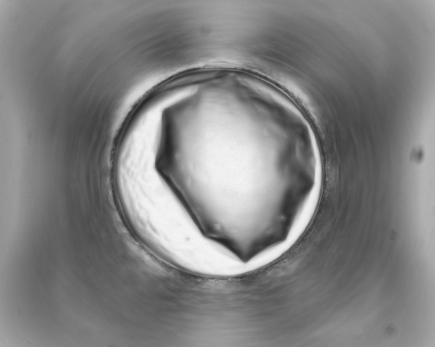 X0000090501480200708102230