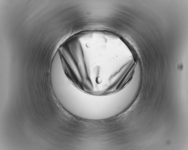 X0000090501481200708102230