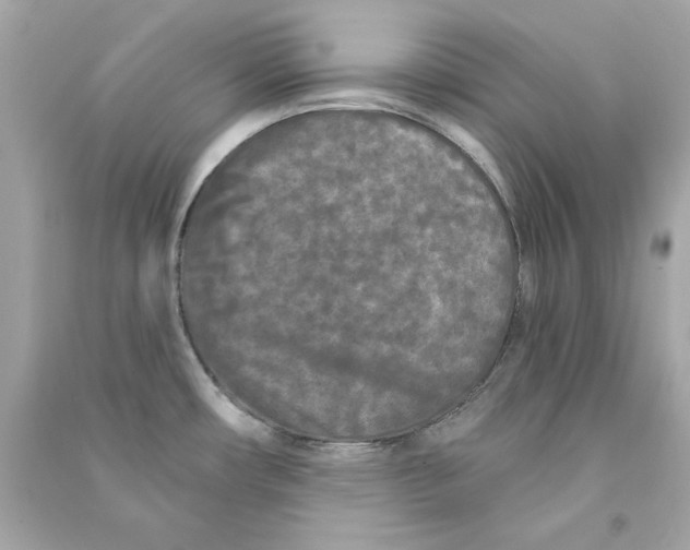 X0000090501482200708102230