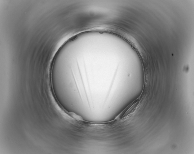 X0000090501483200708102230