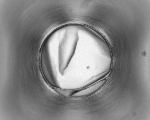 X0000090501484200708102230