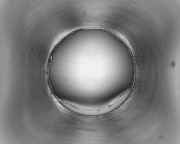 X0000090501485200708102230