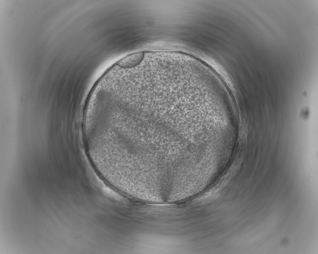 X0000090501486200708102230