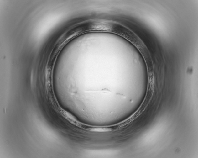 X0000090501487200708102230