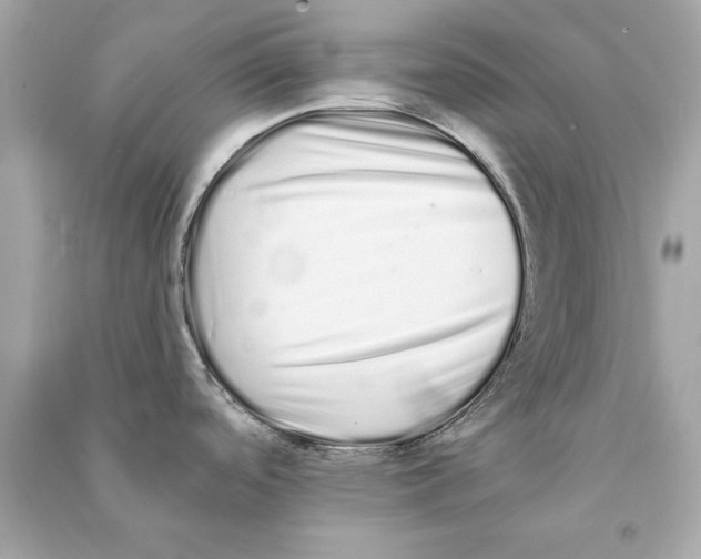 X0000090501488200708102230