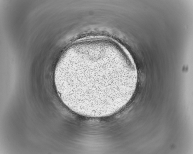 X0000090501489200708102229