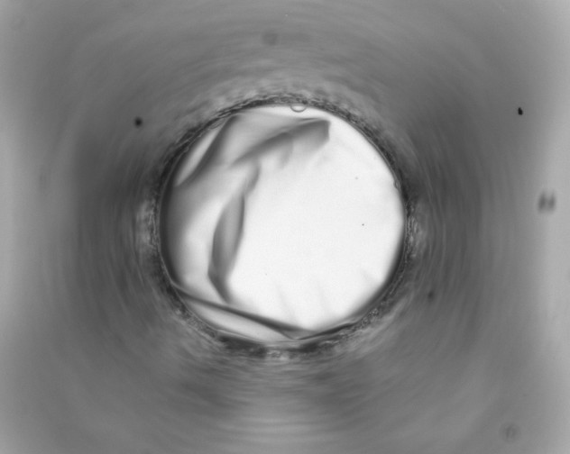 X0000090501490200708102229