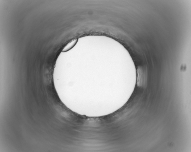 X0000090501491200708102229