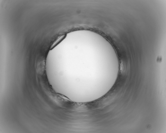 X0000090501492200708102229