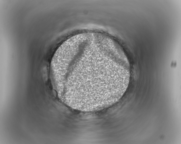 X0000090501493200708102229