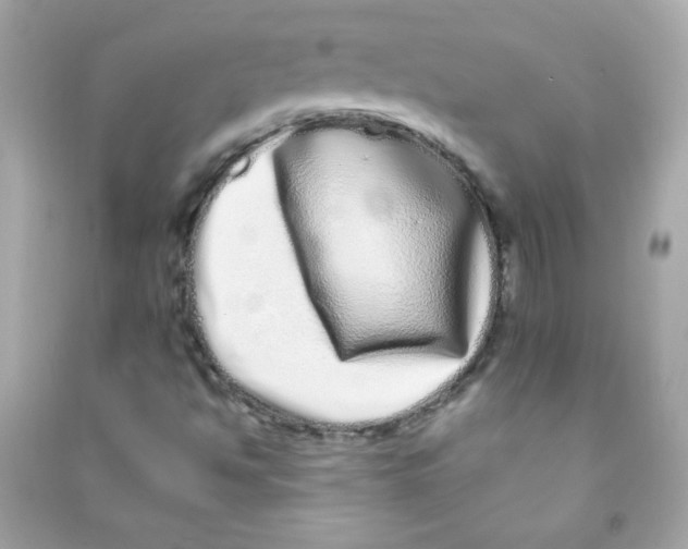 X0000090501494200708102229