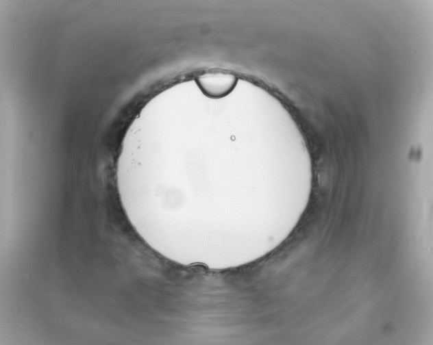 X0000090501495200708102229