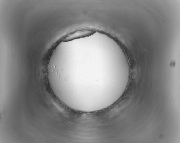 X0000090501496200708102229