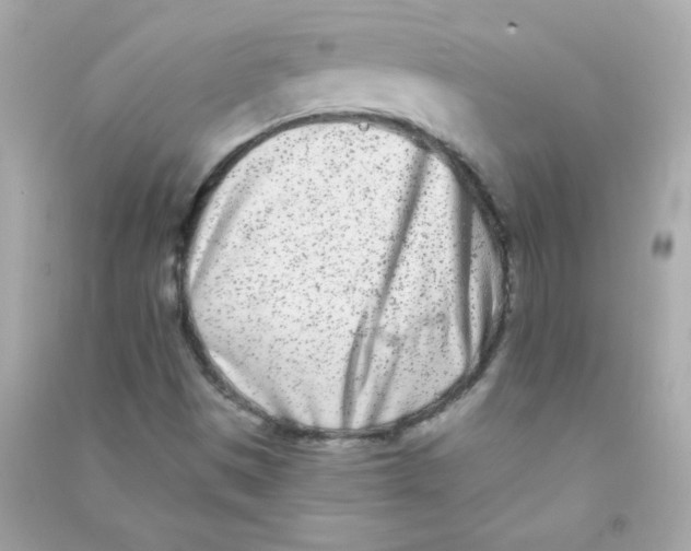 X0000090501497200708102229