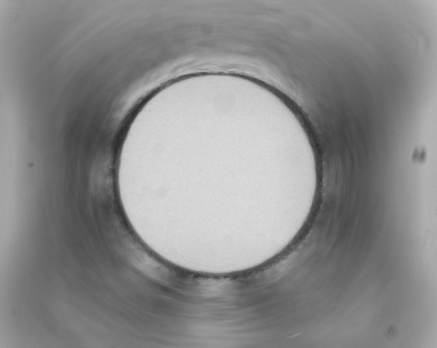 X0000090501498200708102229