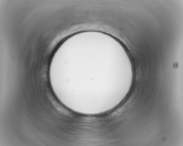 X0000090501499200708102229